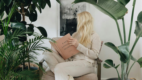 The Ultimate Guide to Choosing the Perfect Indoor Plant for Every Room